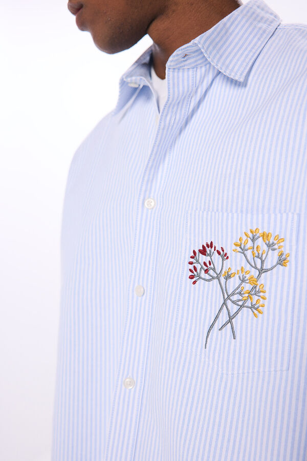 Springfield Camisa oxford riscas bordado azul