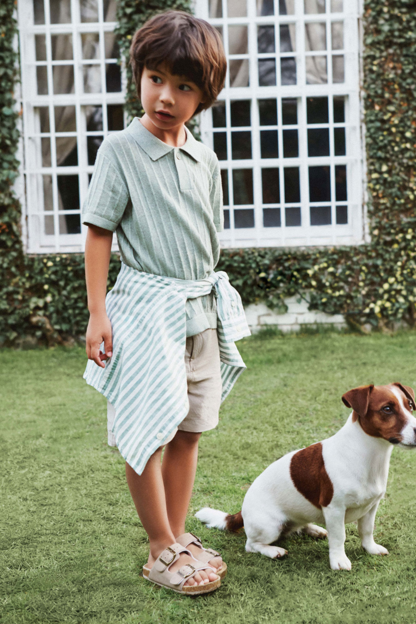 Springfield Kids Polo manga corta tricot ni&ntilde;o