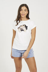 Brave Soul Camiseta de manga manga curta de gato branco