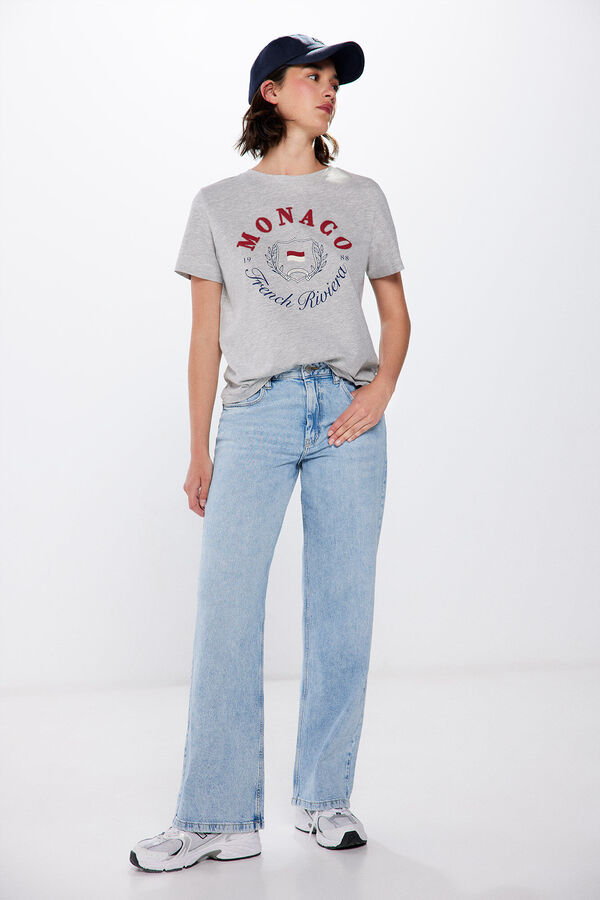 Springfield Camiseta "M&oacute;naco" gris