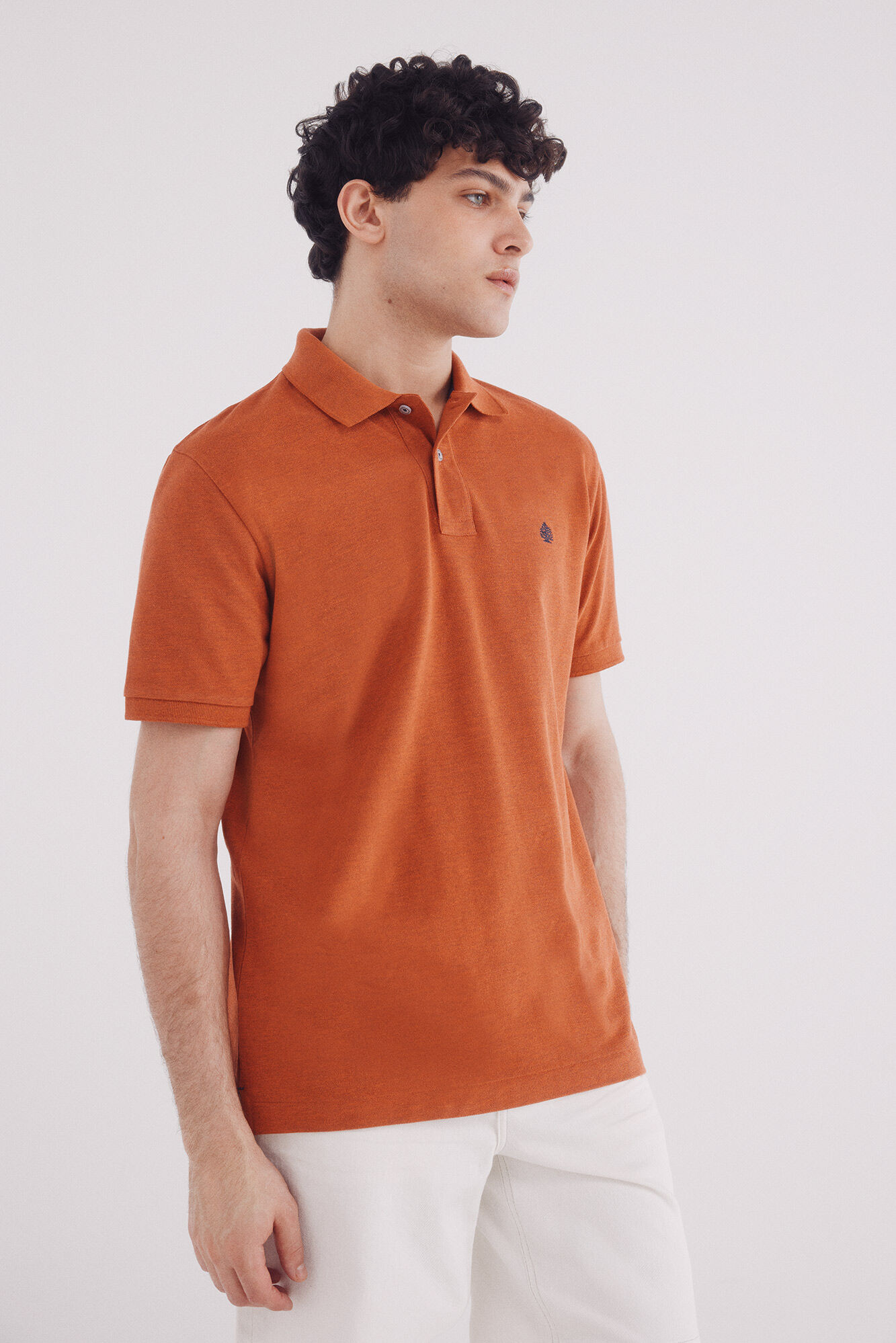Springfield Polo piqu&eacute; b&aacute;sico fantas&iacute;a regular fit