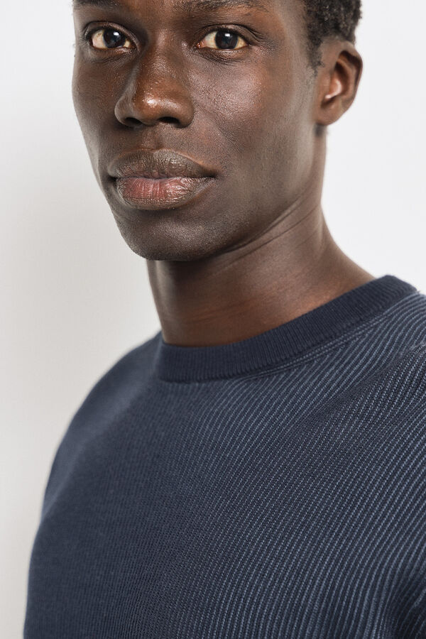 Springfield Jersey estructura bicolor azul