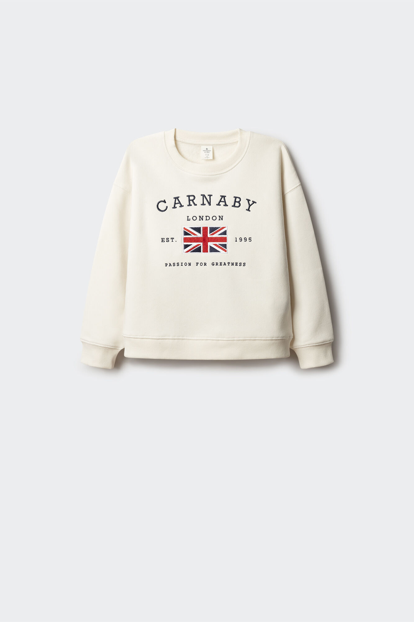 Springfield Kids Sudadera bandera UK ni&ntilde;a