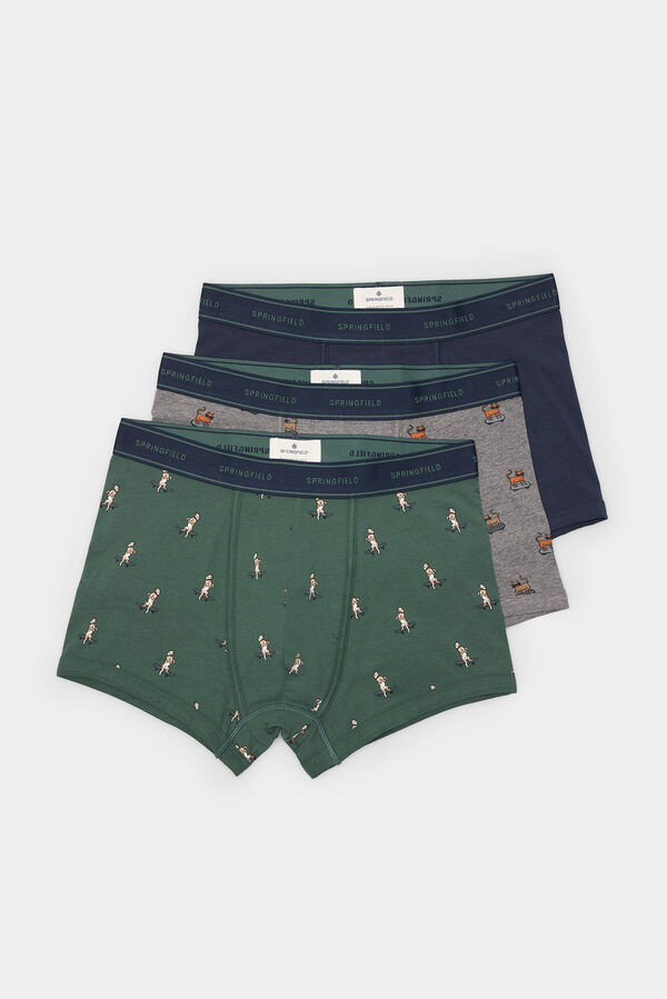 Springfield Pack 3 boxers animais em skate verde