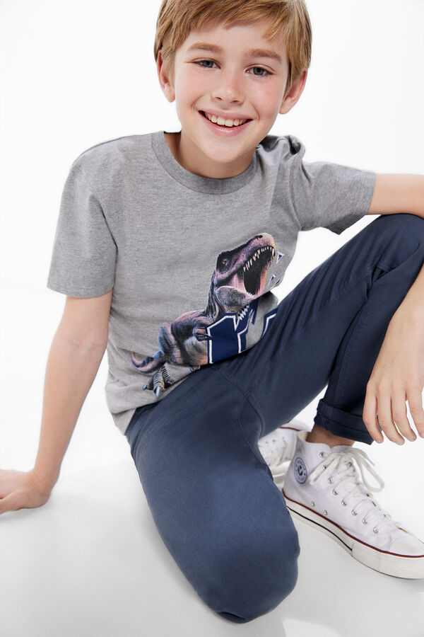 Springfield Kids Camiseta print dinosaurio ni&ntilde;o gris
