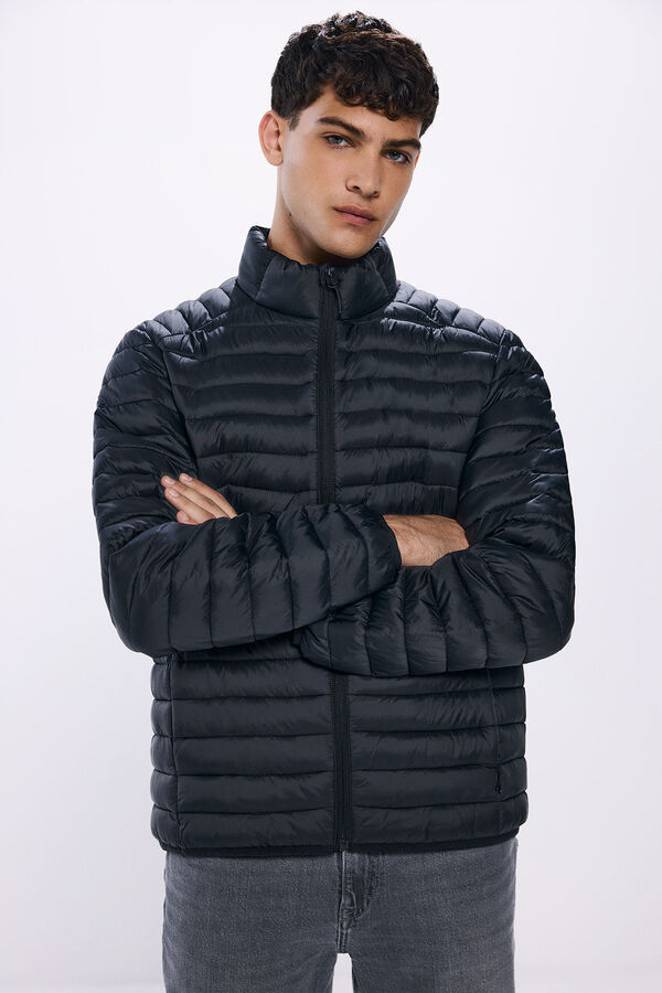 Springfield Chaqueta acolchada negro