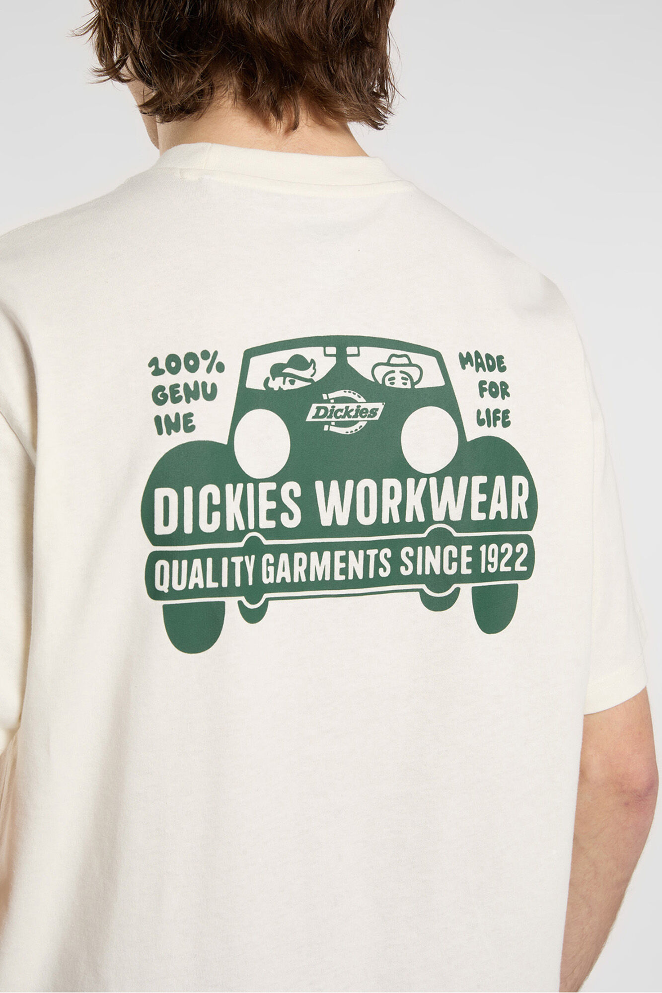 Dickies Camiseta Gordonsville