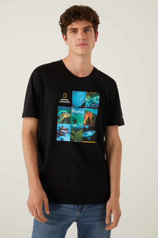 Springfield T-shirt National Geographic preto