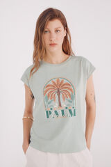 Springfield Camiseta gráfica verde