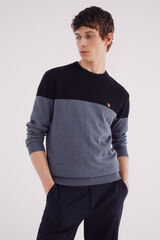 Springfield Jersey b&aacute;sico bloque color azul