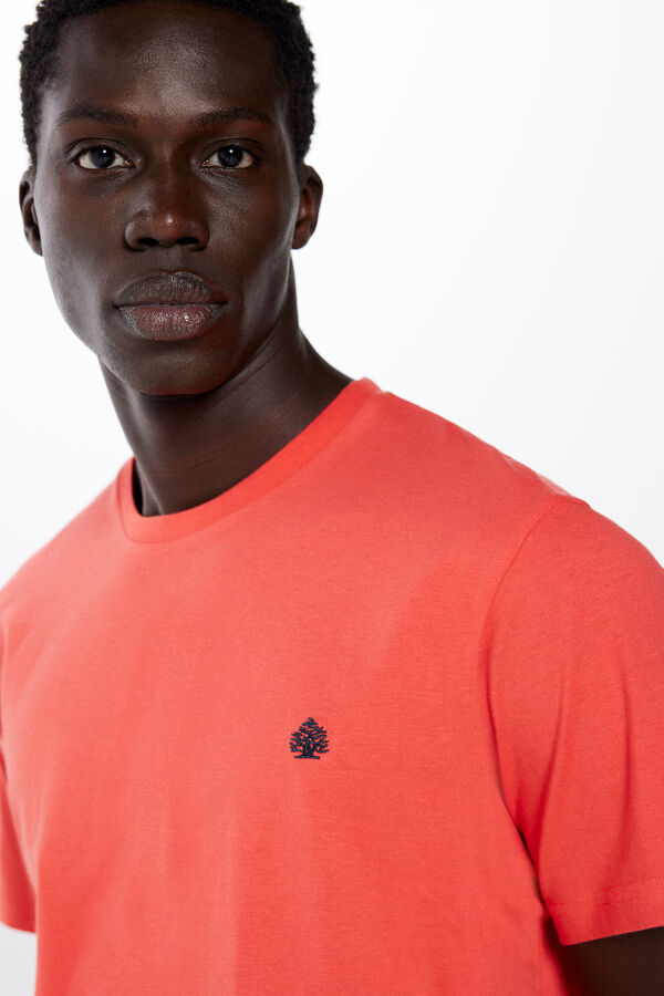 Springfield T-shirt b&aacute;sica &aacute;rvore estampado