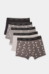 Springfield Pack 5 boxers negro