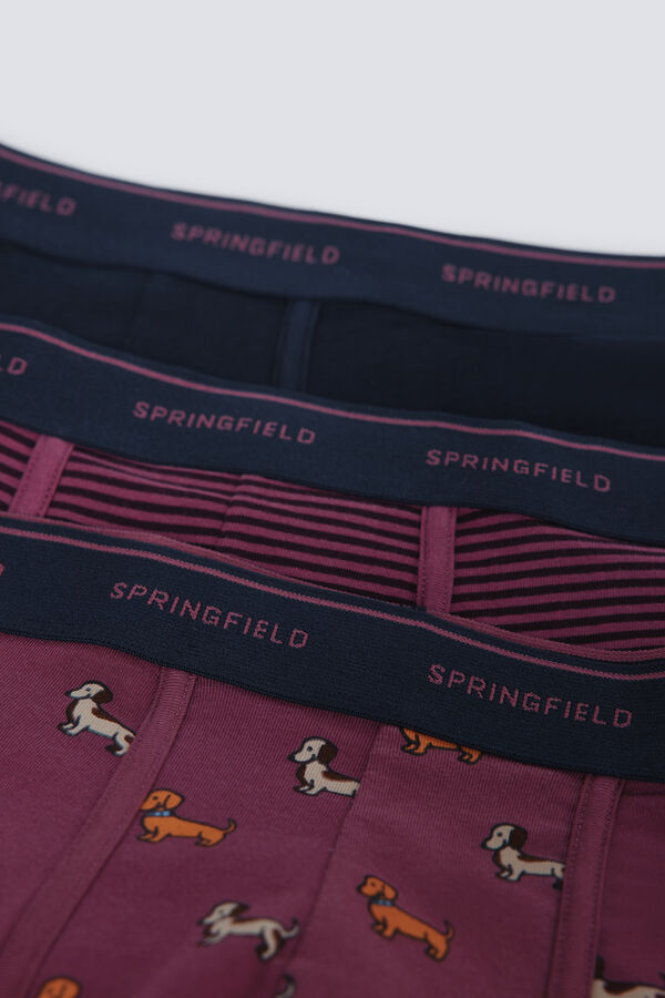 Springfield Pacote com 3 c&atilde;es boxer e riscas vermelho