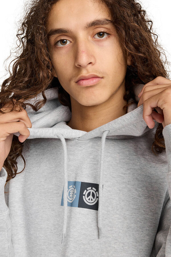 Element Sweatshirt com capuz cinzento