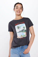 Springfield Camiseta Gr&aacute;fica Paisaje gris