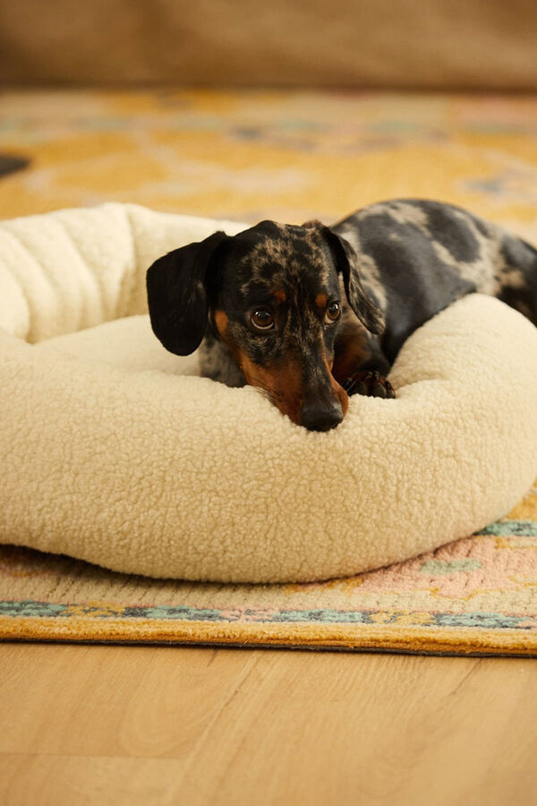 Calma House Cama redonda para animais de estima&ccedil;&atilde;o com capa remov&iacute;vel Henry Raw estampado