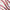 estampado
