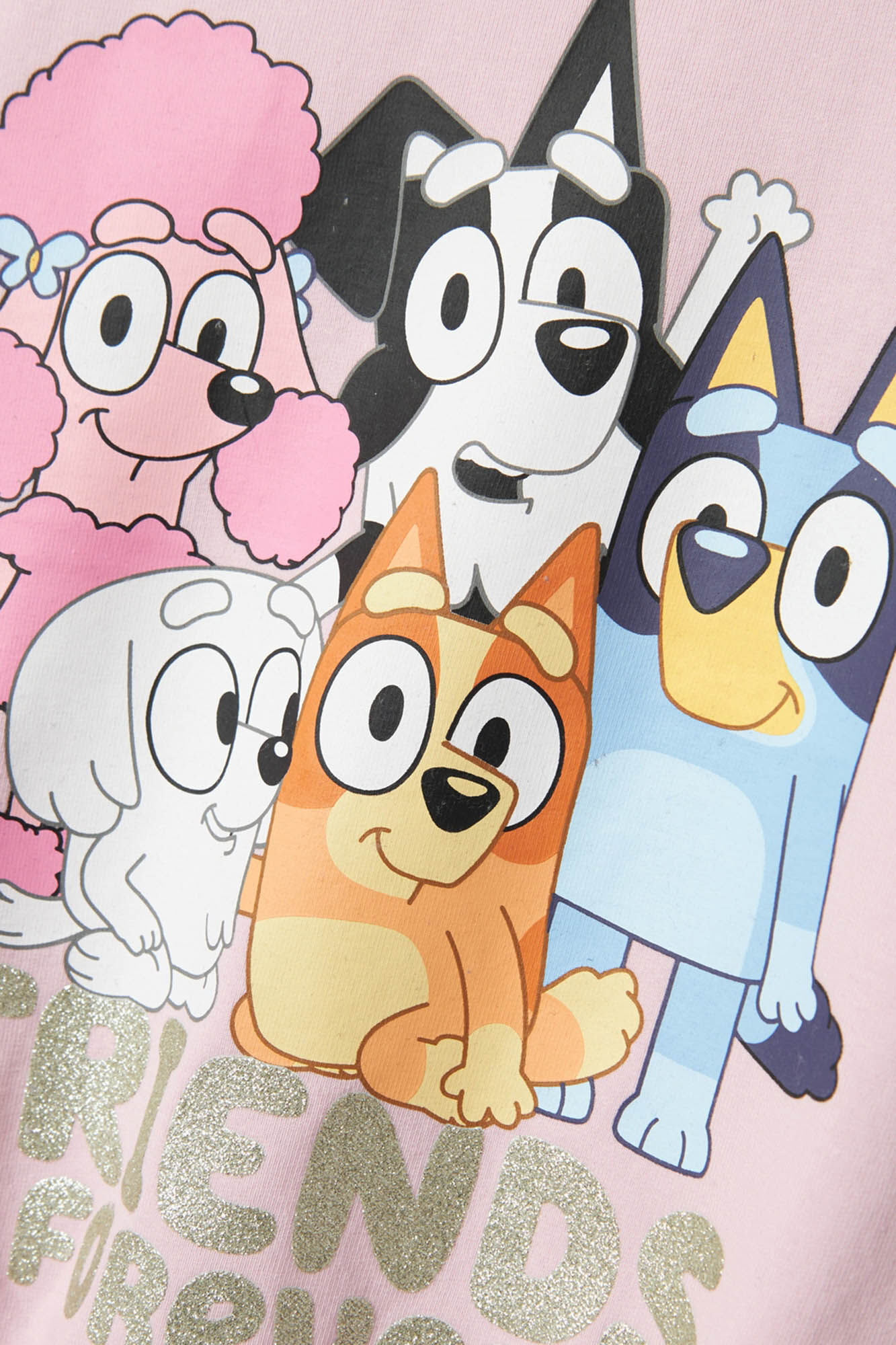 Name it Sudadera Bluey ni&ntilde;a