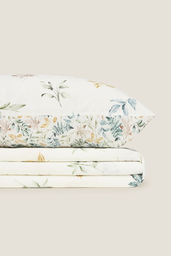 Textura Folhas de algod&atilde;o no galho verde