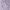 morado/lila