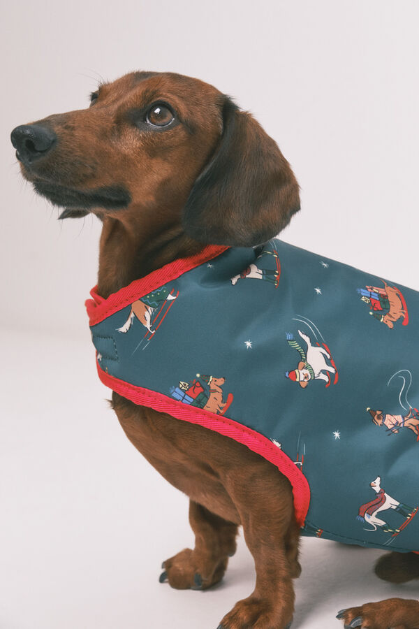 Women'secret Chubasquero para perro  estampado