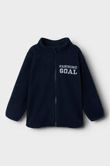 Name it Polar de la Patrulla Canina azul