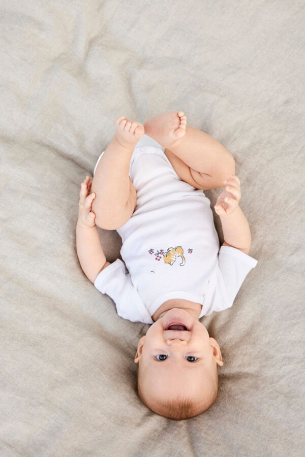 Name it Conjunto de 3 bodies bebé menina rosa