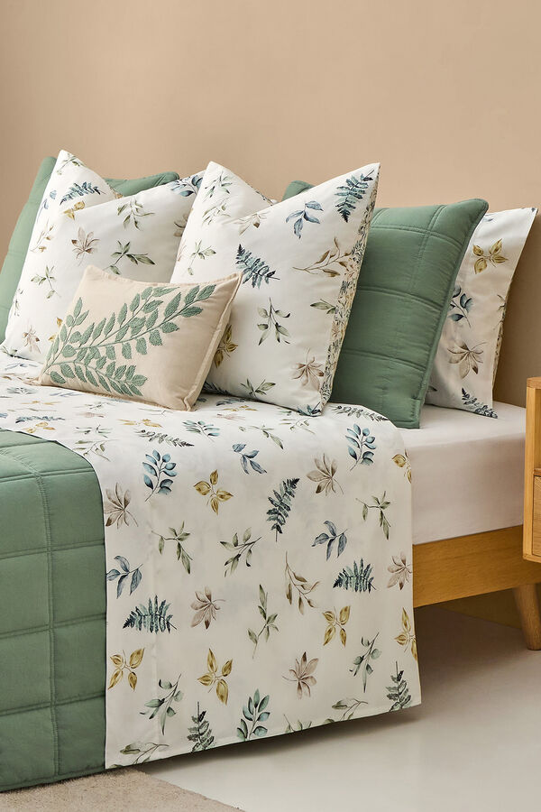 Textura Folhas de algod&atilde;o no galho verde