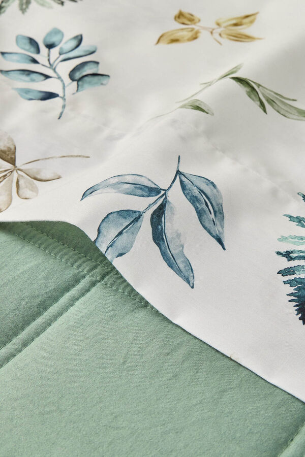 Textura Folhas de algod&atilde;o no galho verde