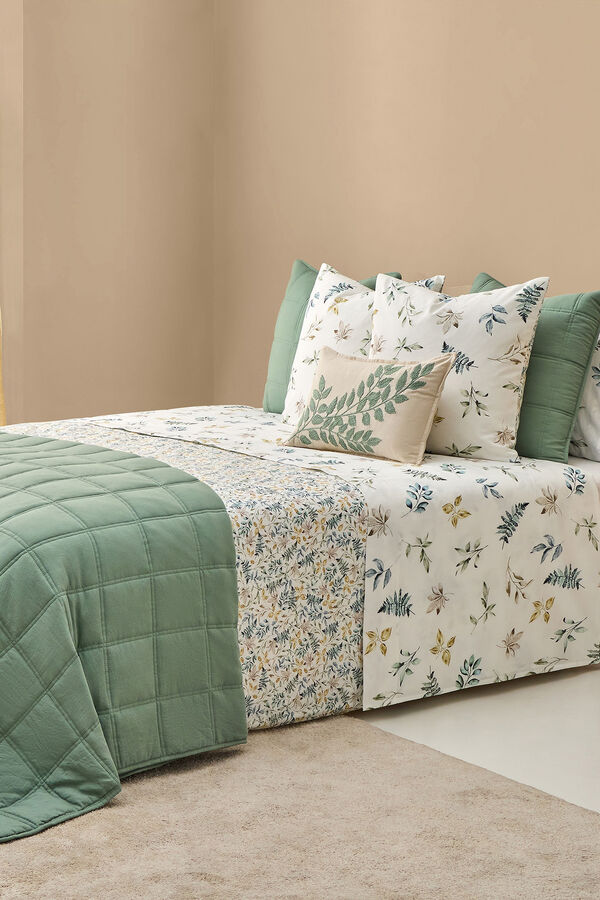 Textura Folhas de algod&atilde;o no galho verde