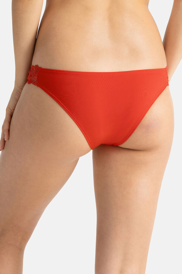 Dorina Braguita brasileña naranja