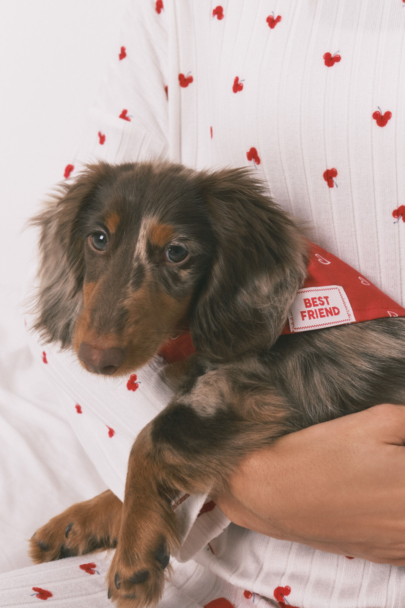 Women'secret Bandana para c&atilde;o com cora&ccedil;&otilde;es vermelha