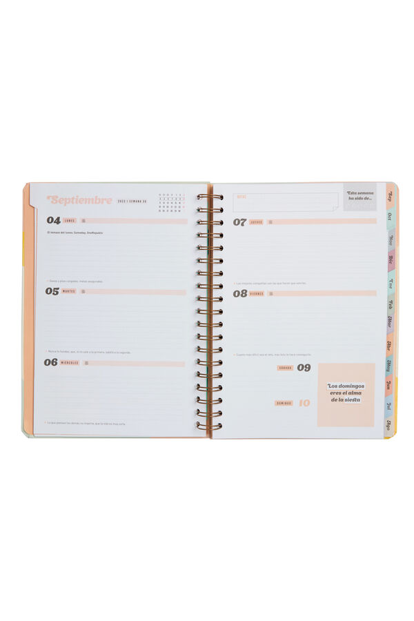 Mr. Wonderful Agenda  2023-2024 Semanal Extragrande  estampado