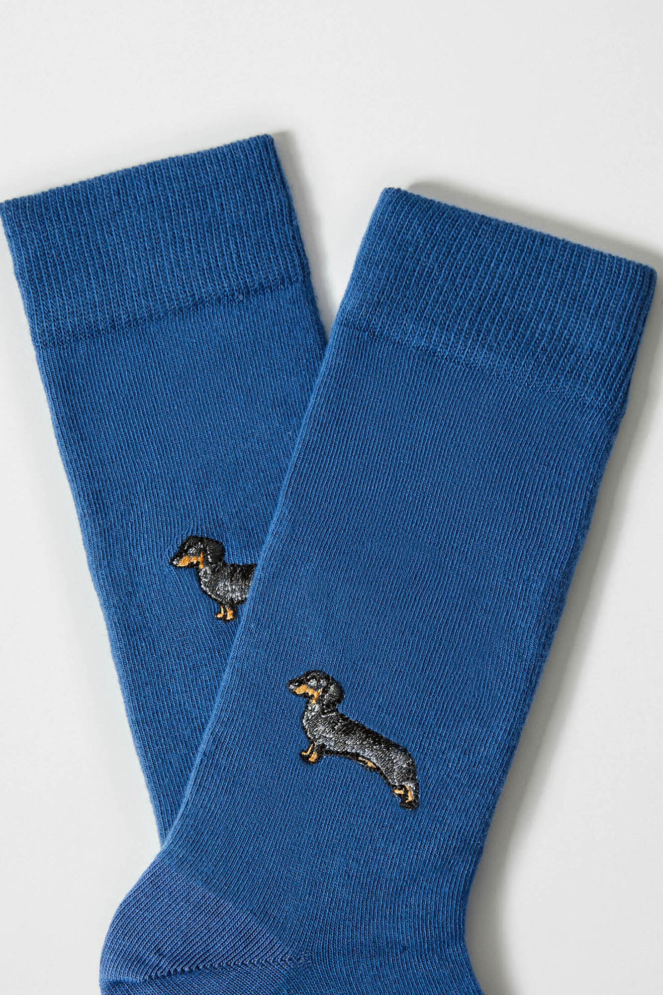 Besocks Meias altas com estampa de dachshund em algod&atilde;o org&acirc;nico azul