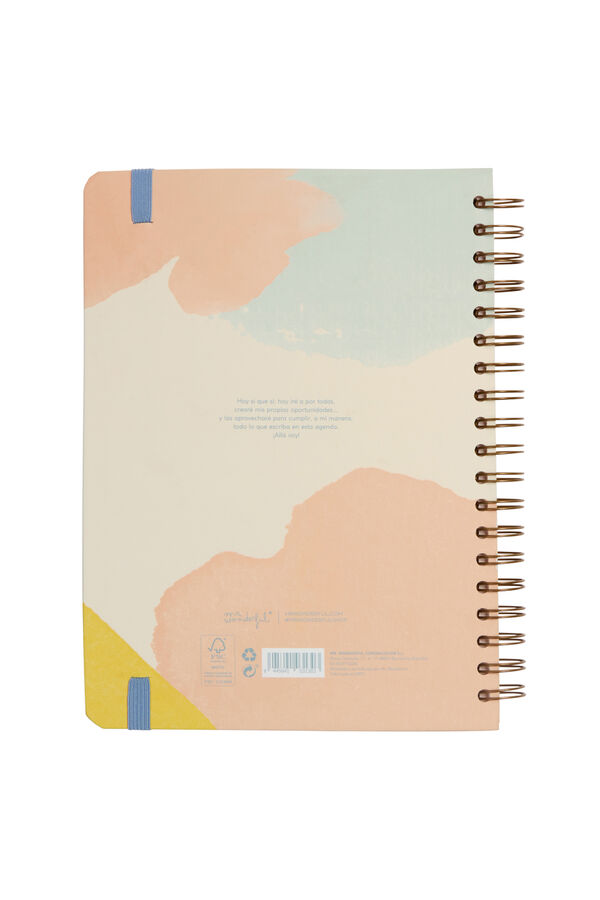 Mr. Wonderful Agenda  2023-2024 Semanal Extragrande  estampado