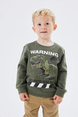 Name it Sudadera niño JURASSIC verde