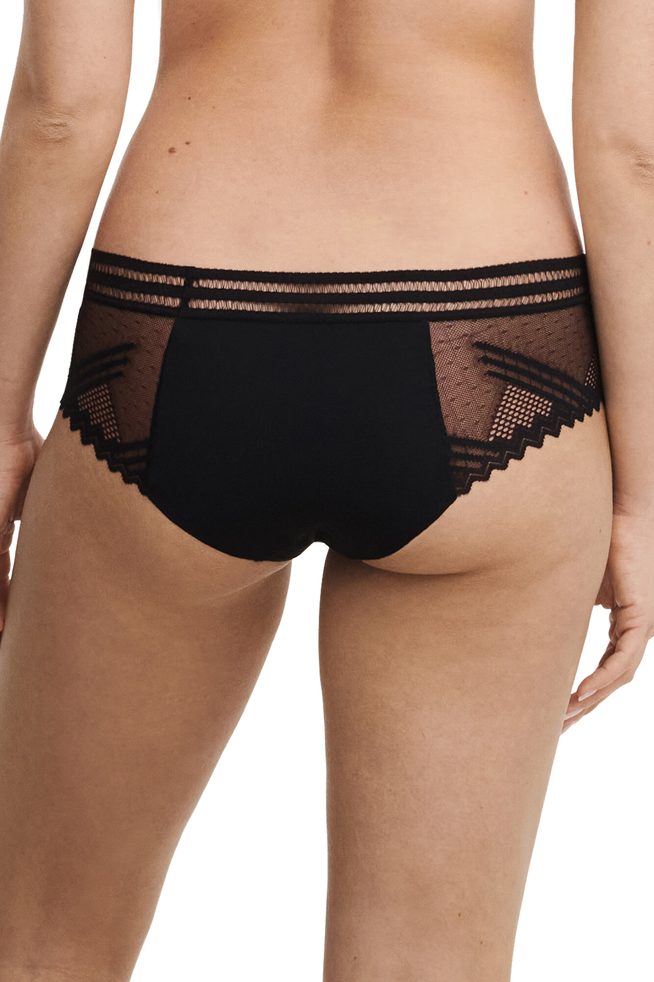 Passionata Culotte encaje sin costuras