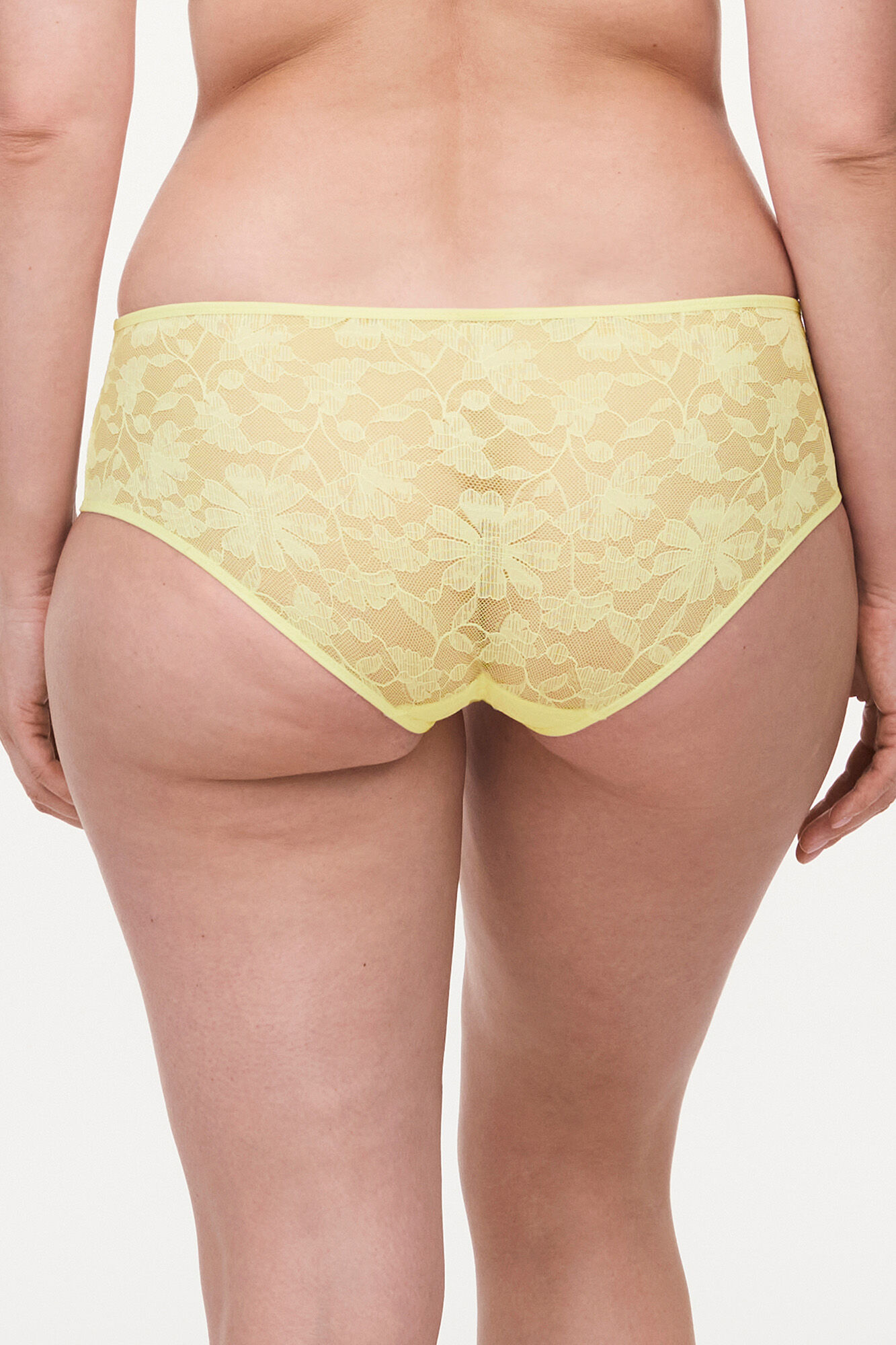 Passionata Culotte Marta en encaje floral y tul &nbsp;