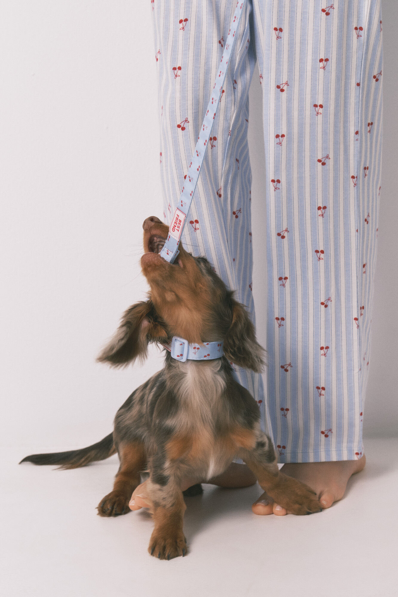 Women'secret Correa perro azul cerezas