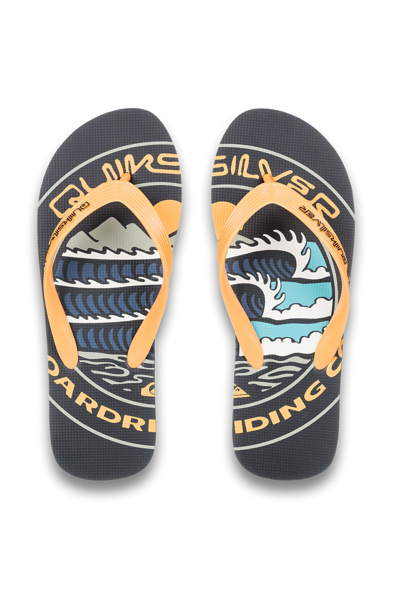 Quiksilver Chanclas Molokai Screen 
