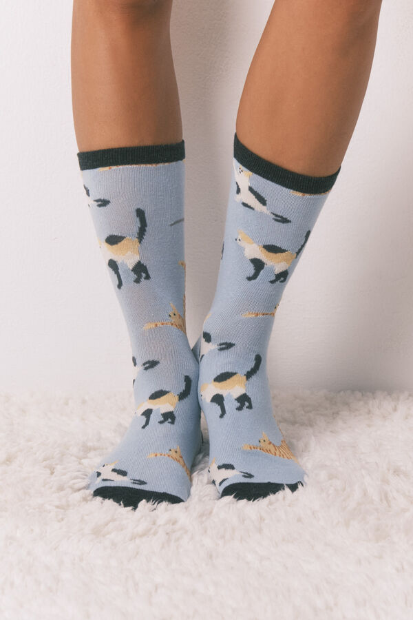 Women'secret Pacote de 6 meias longas de algod&atilde;o com gatos   azul