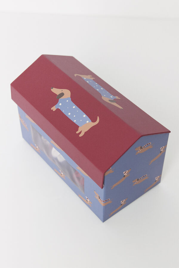 Women'secret Pack 6 calcetines altos salchichas estampado