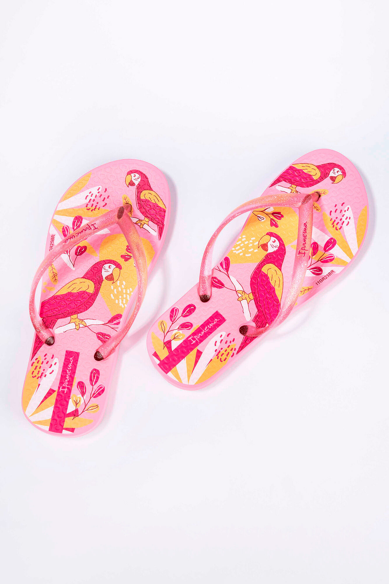 Ipanema Chinelos infantis estampado papagaios tropicais