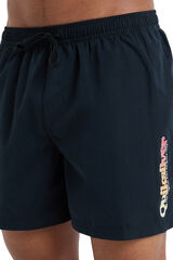 Quiksilver Fato de banho curto Spl Fineline 15  preto