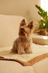 Calma House Manta para mascotas Tedy 70x100 Crudo amarillo