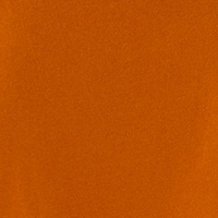 Springfield Camiseta básica logo naranja