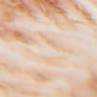 Springfield Lenço de seda estrutura lúrex rosa