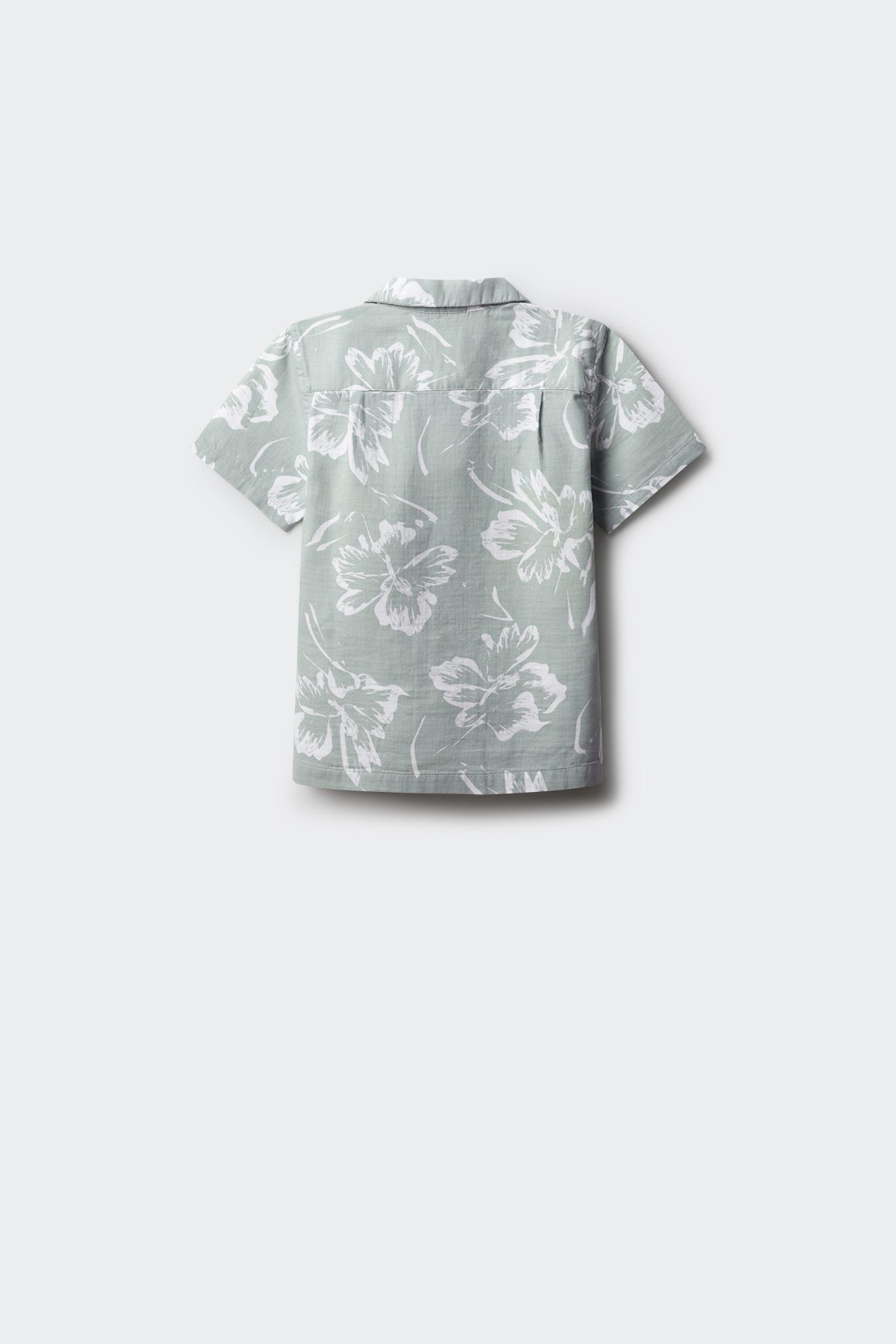 SPRINGFIELD Camicia Bambino 6 Anni Maniche Lunghe - Cotton Slub MAO, Verde Standard, Tessuto Naturale E Morbido - 5