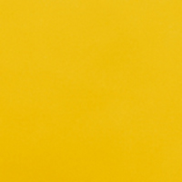 Springfield Zapatilla casa acolchada amarillo