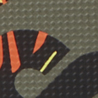 Springfield Chinelos detalhe logo verde